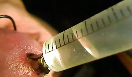 Un immigrant allemand qui entoure les site massage porno buissons.