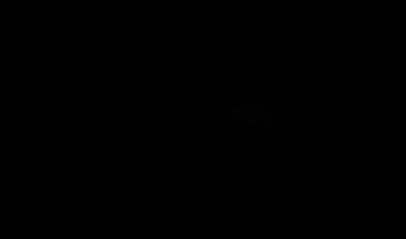 Deux étrangers baisent dans le bus. massage cache porno