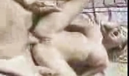 Baise une salope dans le fond du film érotique massage puits.